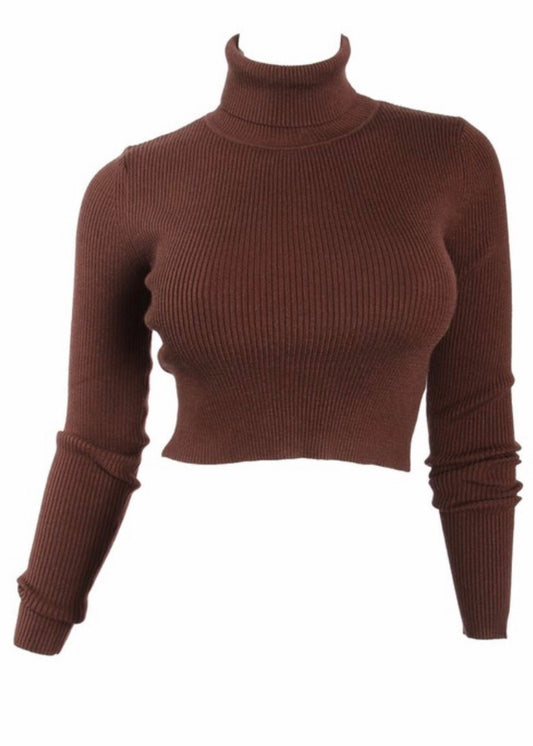 Hold Me Tight Turtle Neck Top (Brown)